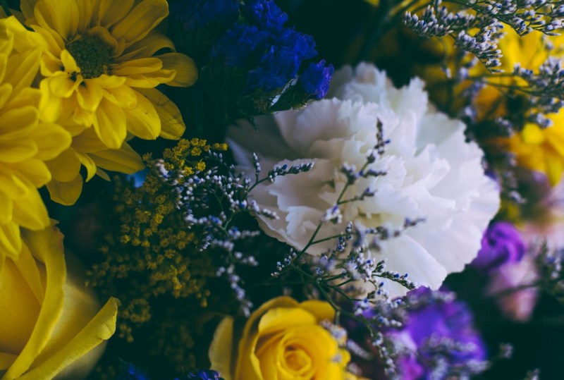 photo-1425924512419-2b92183f98de