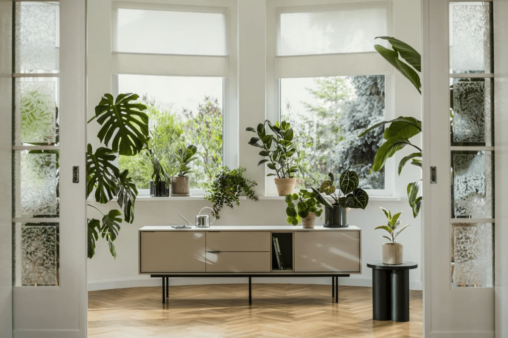 The TV stand that I would stand&nbsp;behind